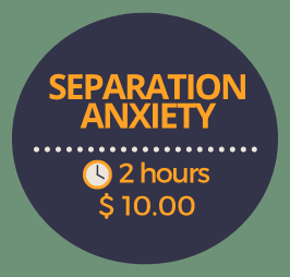 Separation Anxiety