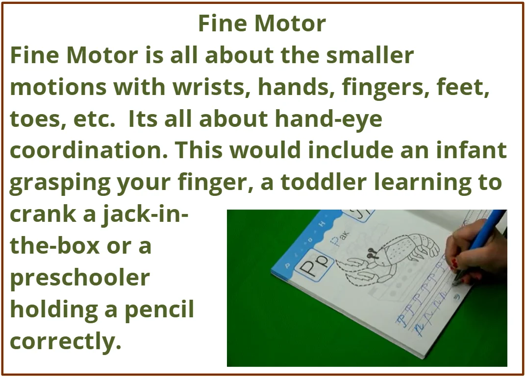 Learning Through Movement: Gross and Fine Motor Skills - Image 2